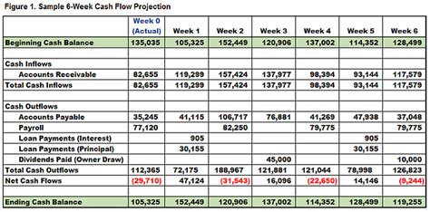 Cash Flow Projections .